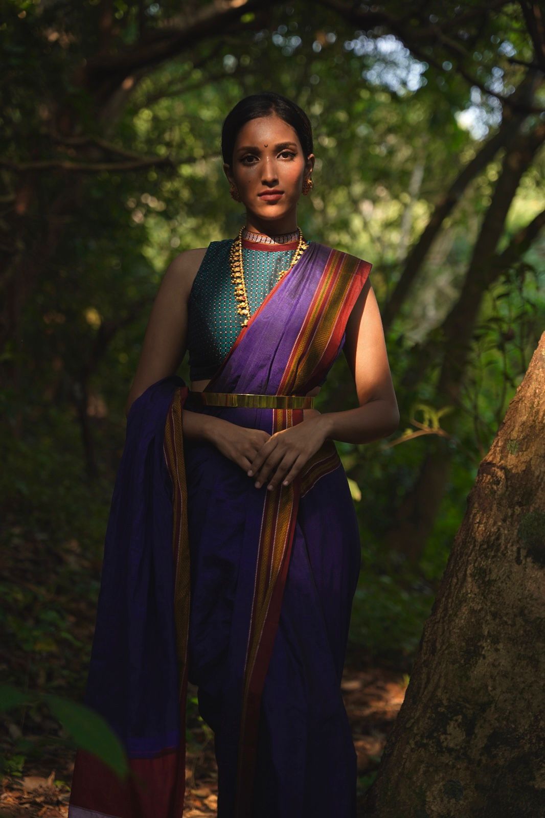 Violet ilkal saree
