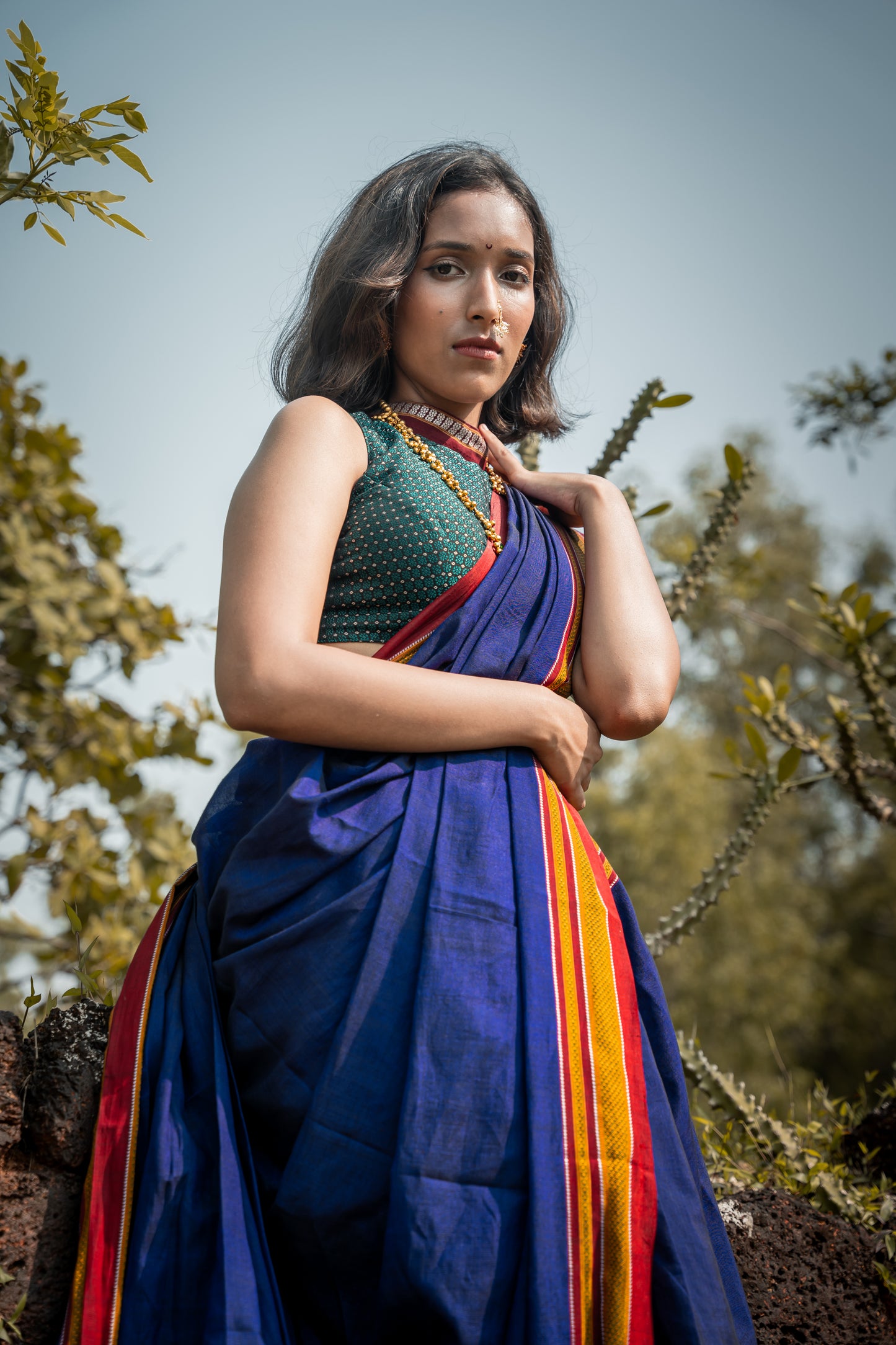 Violet ilkal saree